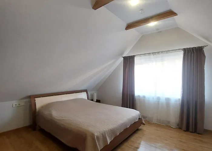 Fryko Apartamentai Kaune Lejlighed Kaunas